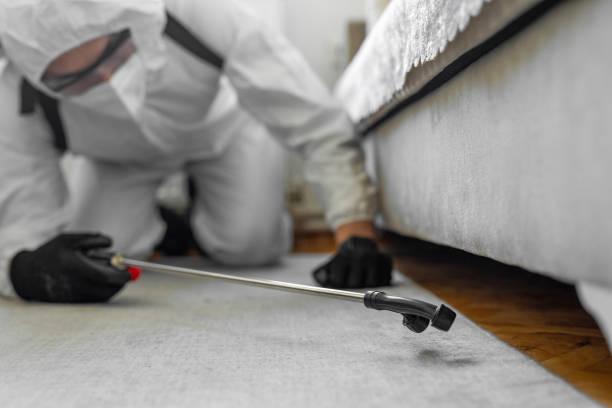 Professional Wasp Control technician working in Orland Hills, IL
