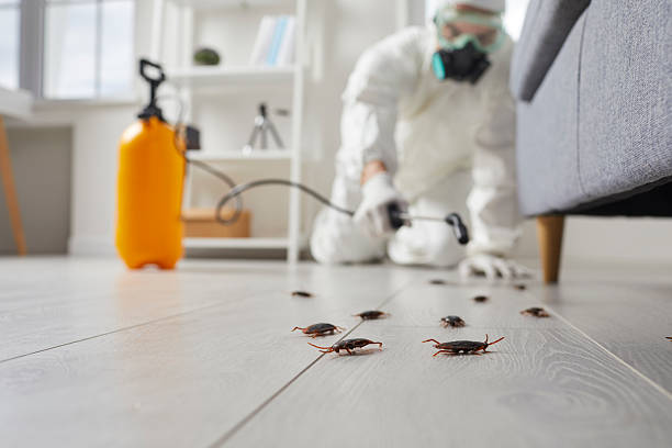 Trusted Fumigation Services service in Orland Hills, IL - Nex Pest Control